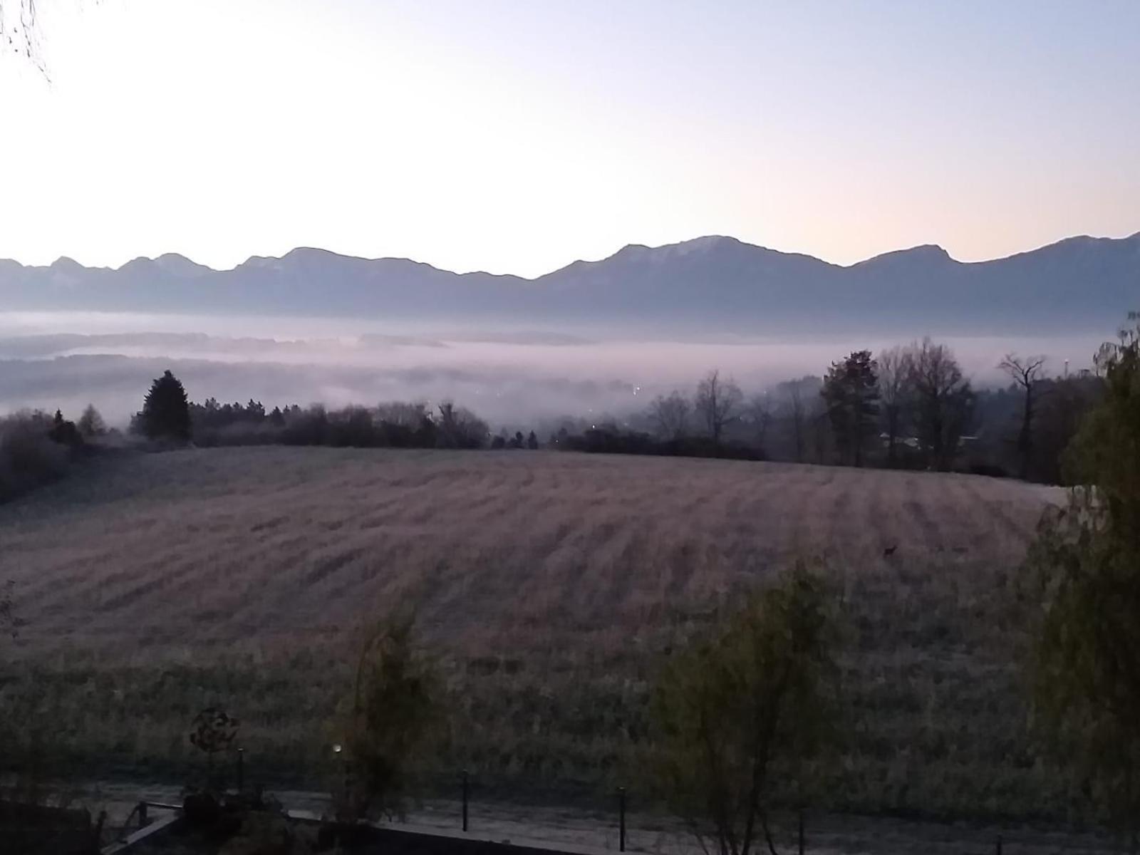 Apartmán Schwalbennest Velden Velden am Wörthersee Exteriér fotografie